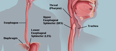 Oesophageal disorders